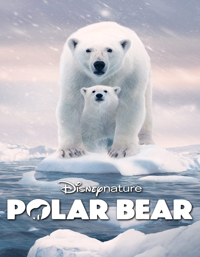 ดูหนังออนไลน์ฟรี Polar Bear (2022)